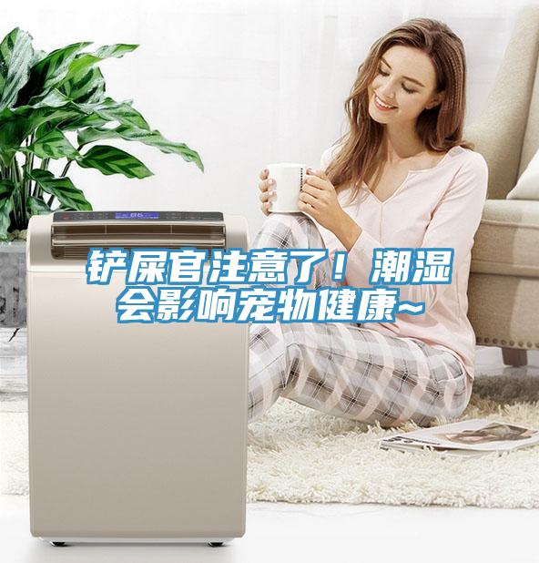 鏟屎官注意了！潮濕會(huì)影響寵物健康~