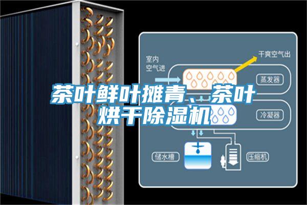 茶葉鮮葉攤青、茶葉烘干除濕機