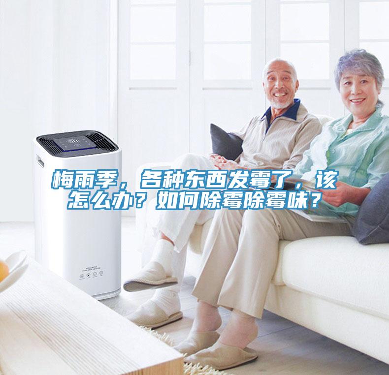 梅雨季，各種東西發(fā)霉了，該怎么辦？如何除霉除霉味？