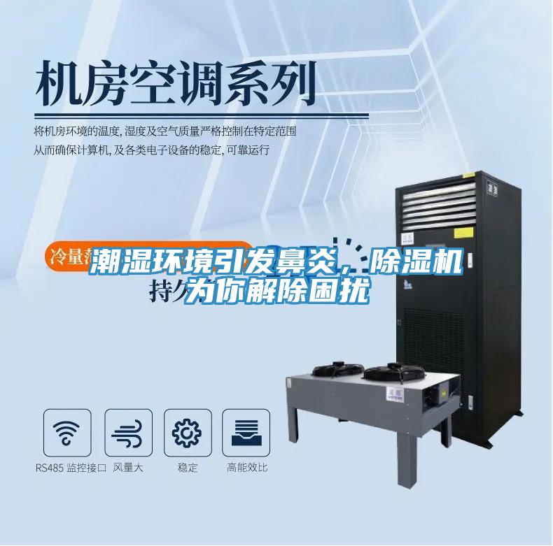 潮濕環(huán)境引發(fā)鼻炎，除濕機為你解除困擾