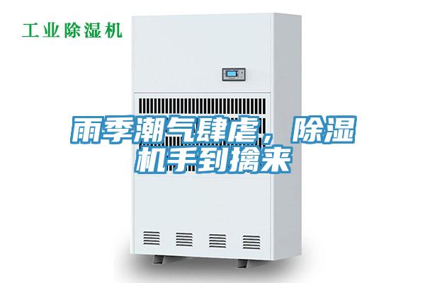 雨季潮氣肆虐，除濕機手到擒來