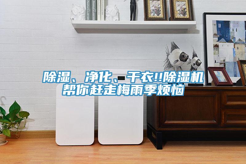 除濕、凈化、干衣!!除濕機幫你趕走梅雨季煩惱