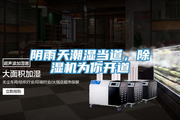 陰雨天潮濕當?shù)?，除濕機為你開道