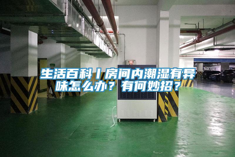 生活百科丨房間內(nèi)潮濕有異味怎么辦？有何妙招？