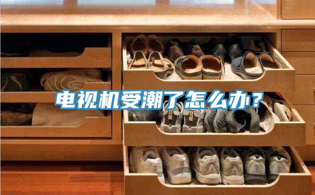 電視機(jī)受潮了怎么辦？