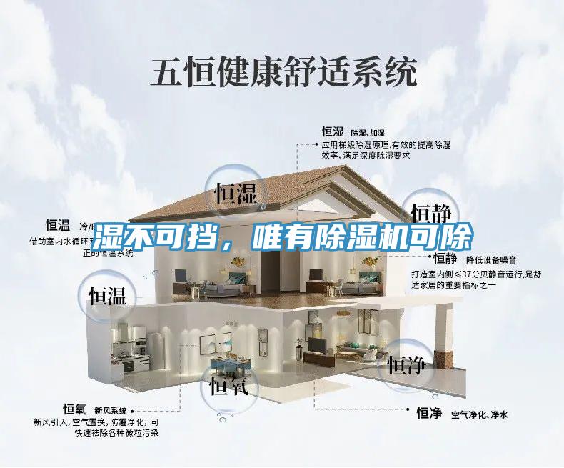 濕不可擋，唯有除濕機(jī)可除