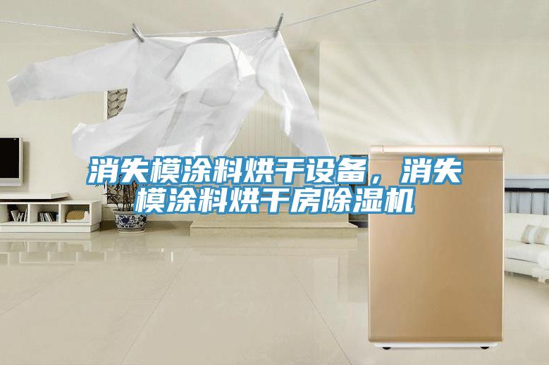 消失模涂料烘干設(shè)備，消失模涂料烘干房除濕機(jī)