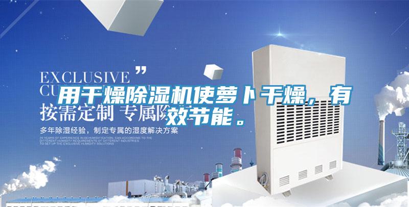 用干燥除濕機(jī)使蘿卜干燥，有效節(jié)能。