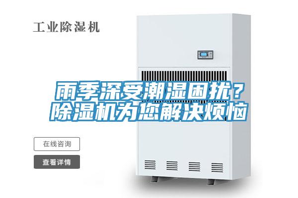 雨季深受潮濕困擾？除濕機為您解決煩惱