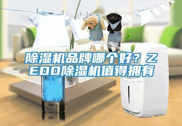 除濕機(jī)品牌哪個(gè)好？ZEDO除濕機(jī)值得擁有