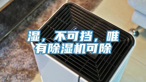 濕，不可擋，唯有除濕機(jī)可除