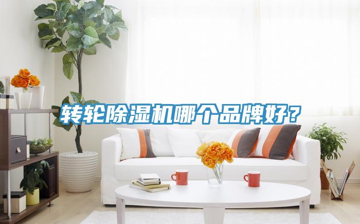 轉(zhuǎn)輪除濕機(jī)哪個(gè)品牌好？