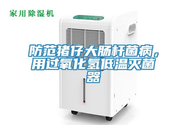 防范豬仔大腸桿菌病，用過氧化氫低溫滅菌器