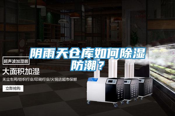 陰雨天倉庫如何除濕防潮？