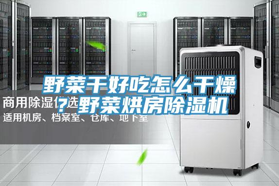野菜干好吃怎么干燥？野菜烘房除濕機