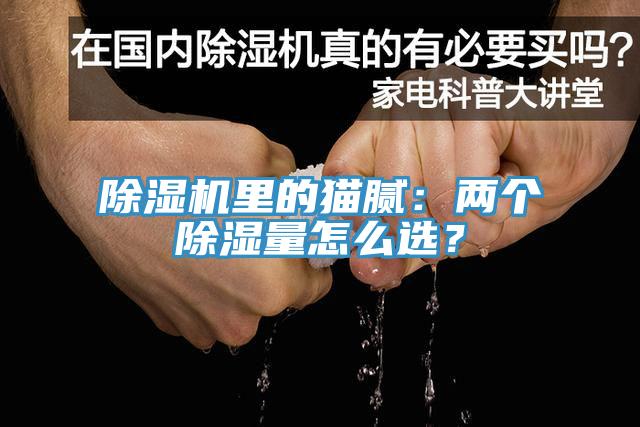除濕機(jī)里的貓膩：兩個(gè)除濕量怎么選？