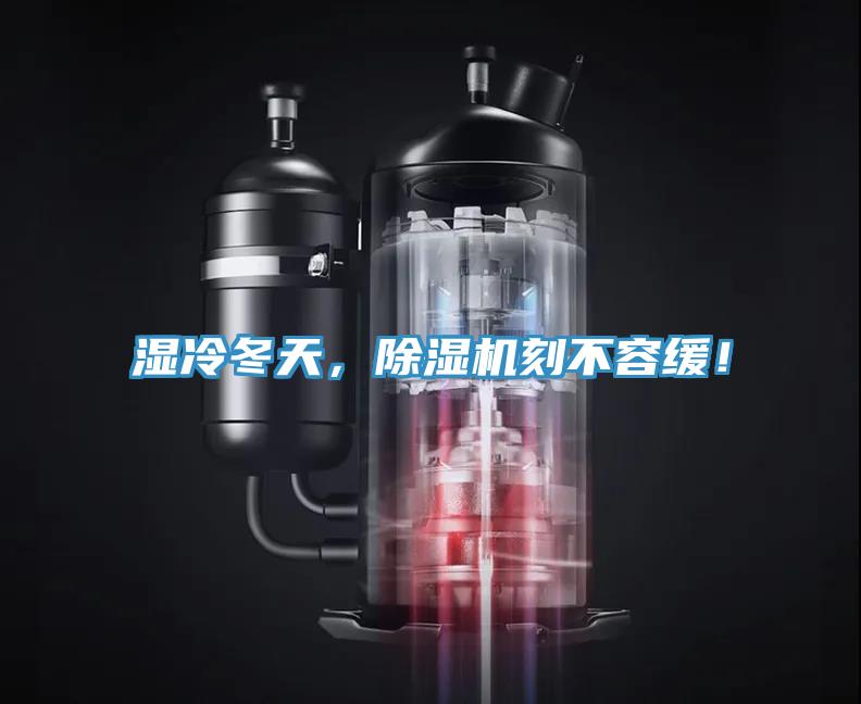 濕冷冬天，除濕機刻不容緩！