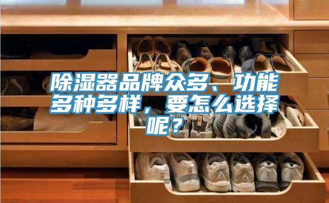 除濕器品牌眾多、功能多種多樣，要怎么選擇呢？