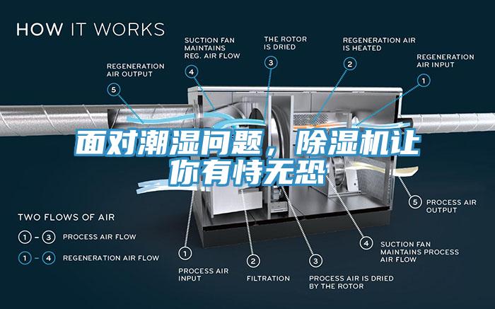 面對(duì)潮濕問(wèn)題，除濕機(jī)讓你有恃無(wú)恐