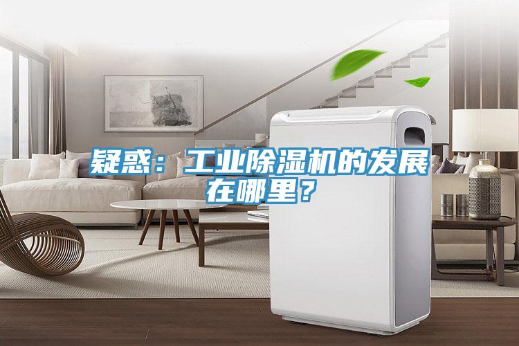疑惑：工業(yè)除濕機的發(fā)展在哪里？