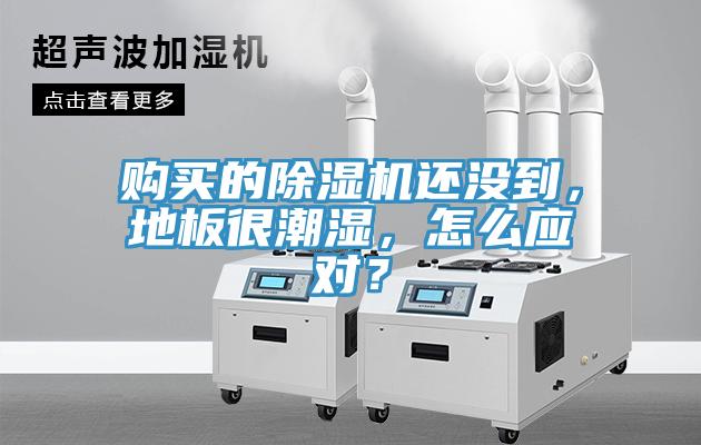 購(gòu)買(mǎi)的除濕機(jī)還沒(méi)到，地板很潮濕，怎么應(yīng)對(duì)？