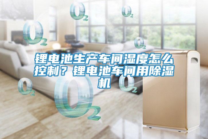 鋰電池生產(chǎn)車間濕度怎么控制？鋰電池車間用除濕機