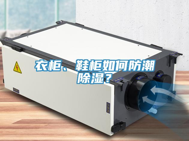 衣柜、鞋柜如何防潮除濕？