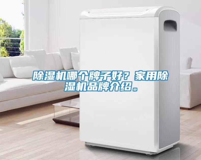 除濕機(jī)哪個(gè)牌子好？家用除濕機(jī)品牌介紹。