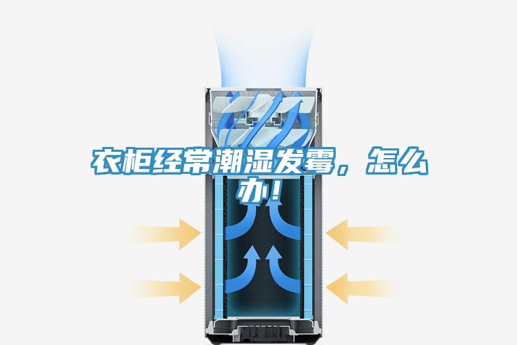 衣柜經(jīng)常潮濕發(fā)霉，怎么辦！