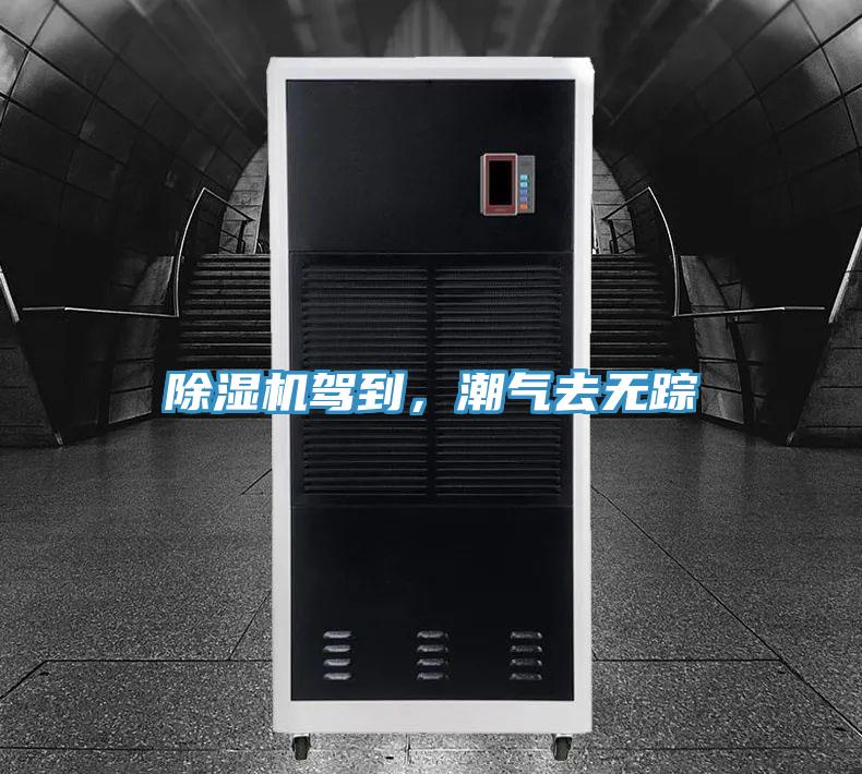 除濕機(jī)駕到，潮氣去無(wú)蹤