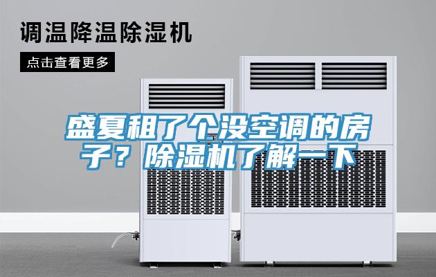 盛夏租了個沒空調(diào)的房子？除濕機了解一下