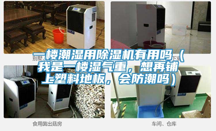 一樓潮濕用除濕機(jī)有用嗎（我是一樓濕氣重，想再鋪上塑料地板，會(huì)防潮嗎）