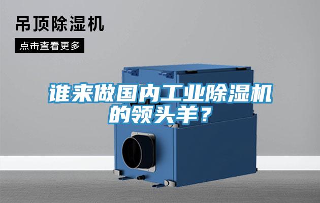 誰(shuí)來做國(guó)內(nèi)工業(yè)除濕機(jī)的領(lǐng)頭羊？