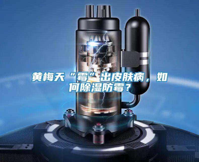 黃梅天“霉”出皮膚病，如何除濕防霉？