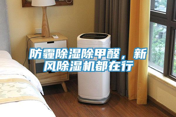 防霾除濕除甲醛，新風(fēng)除濕機(jī)都在行