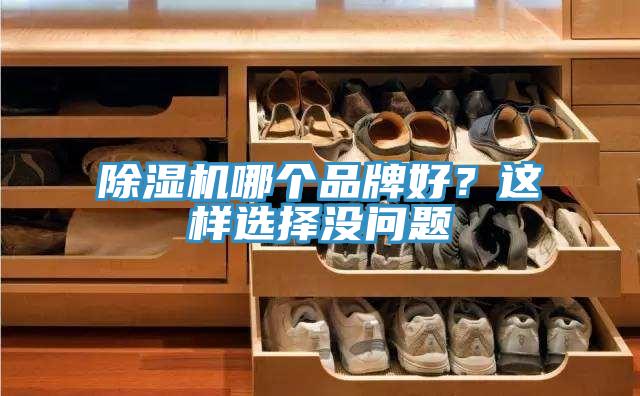 除濕機(jī)哪個(gè)品牌好？這樣選擇沒問(wèn)題