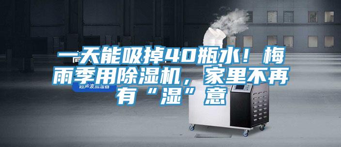 一天能吸掉40瓶水！梅雨季用除濕機(jī)，家里不再有“濕”意