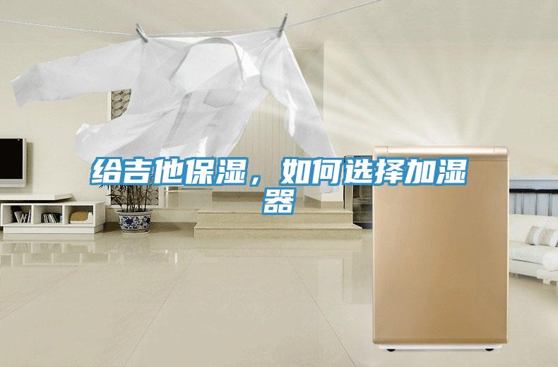給吉他保濕，如何選擇加濕器