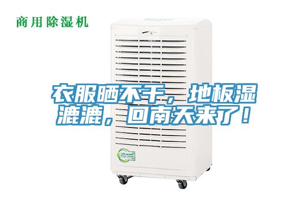 衣服曬不干，地板濕漉漉，回南天來了！