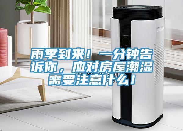 雨季到來！一分鐘告訴你，應(yīng)對房屋潮濕需要注意什么！