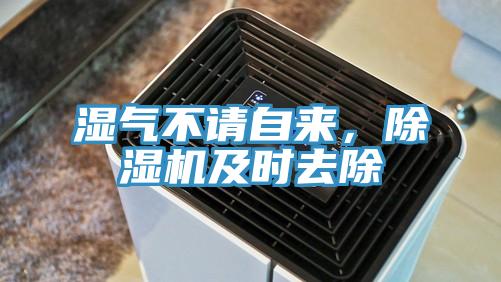 濕氣不請(qǐng)自來(lái)，除濕機(jī)及時(shí)去除