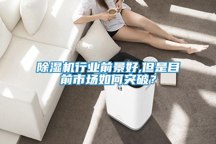 除濕機(jī)行業(yè)前景好,但是目前市場如何突破？