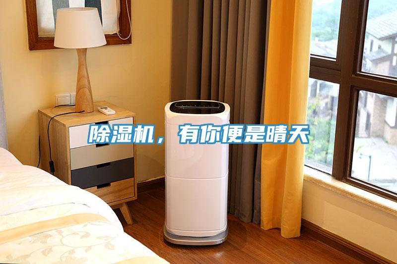 除濕機(jī)，有你便是晴天