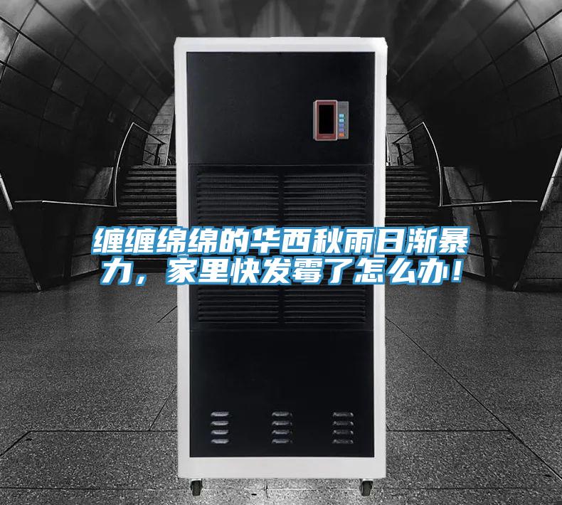 纏纏綿綿的華西秋雨日漸暴力，家里快發(fā)霉了怎么辦！