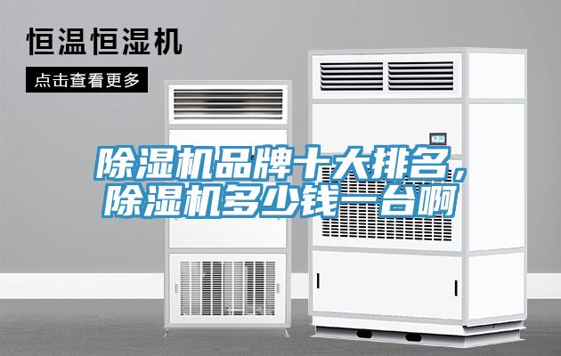 除濕機(jī)品牌十大排名，除濕機(jī)多少錢一臺(tái)啊