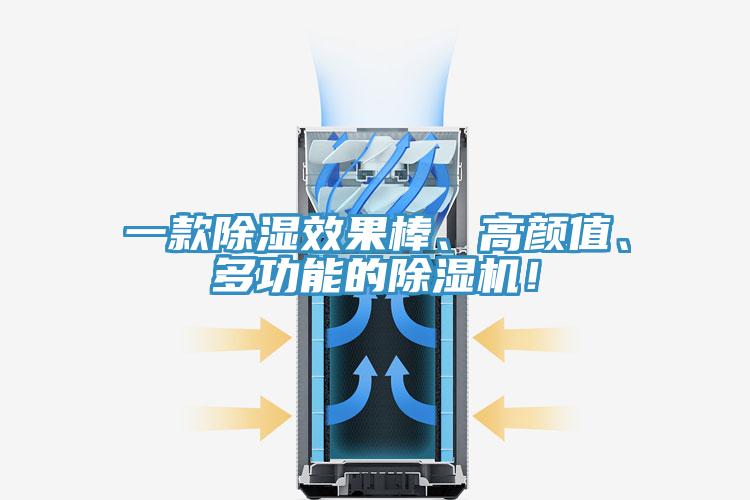 一款除濕效果棒、高顏值、多功能的除濕機(jī)！