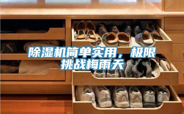 除濕機(jī)簡單實(shí)用，極限挑戰(zhàn)梅雨天