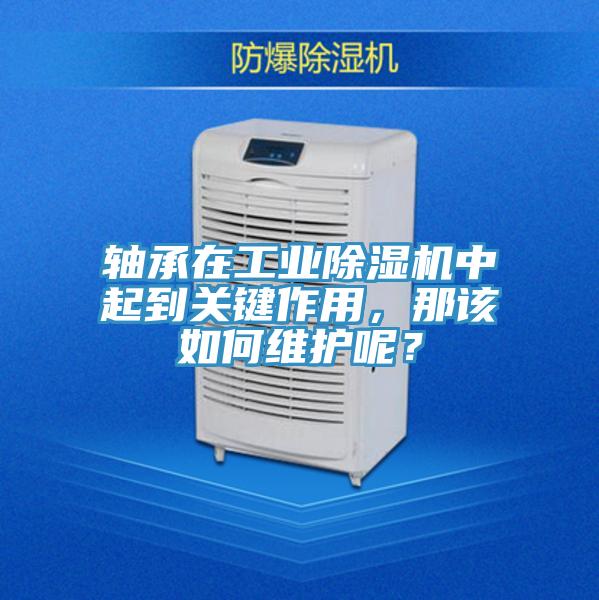 軸承在工業(yè)除濕機(jī)中起到關(guān)鍵作用，那該如何維護(hù)呢？