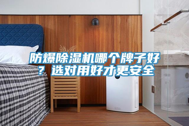 防爆除濕機哪個牌子好？選對用好才更安全
