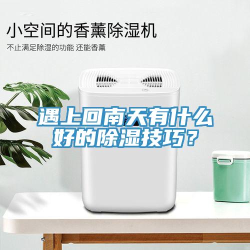 遇上回南天有什么好的除濕技巧？